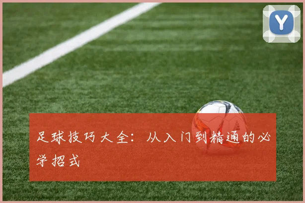 足球技巧大全：从入门到精通的必学招式